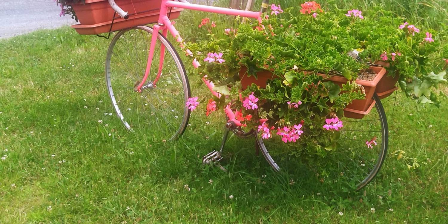 A la découverte de notre circuit fleuri 